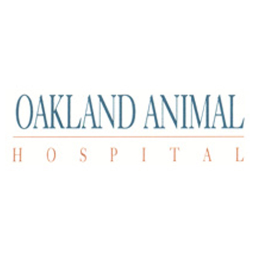 oakland animal hospital emergency