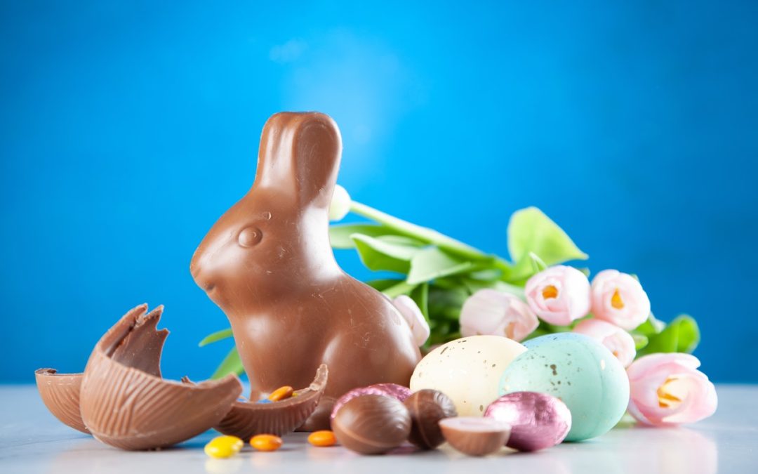 Protect Your Pet From These Hazards This Easter