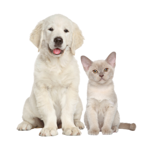Oakland NJ Veterinary Jobs Oakland NJ Veterinary Jobs
