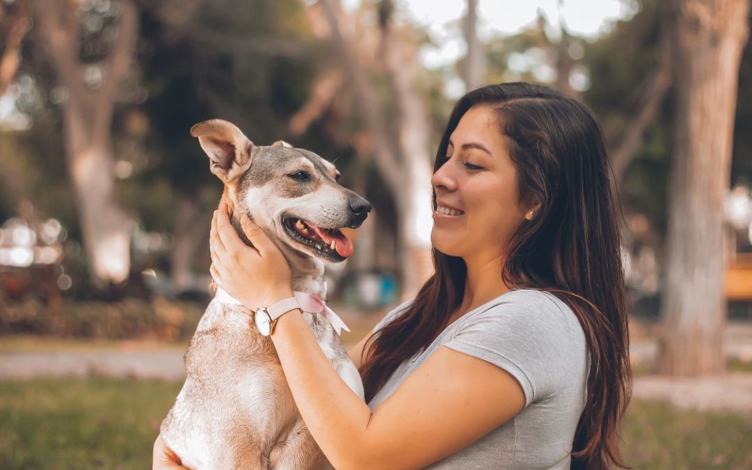 6 Tips To Be A Responsible Dog Owner