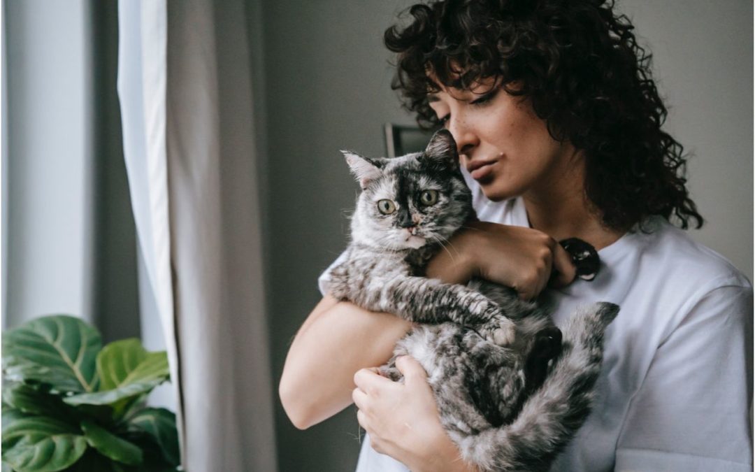 How to Celebrate National Cat Lovers Month