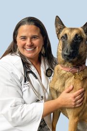 Amy K. Pellicano, DVM